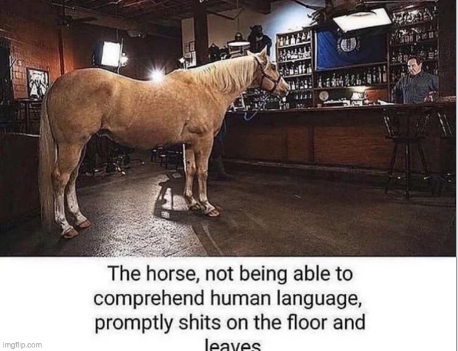 horse neme | made w/ Imgflip meme maker