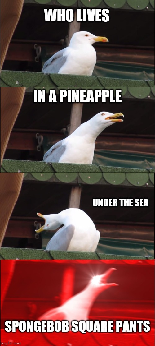 Inhaling Seagull | WHO LIVES; IN A PINEAPPLE; UNDER THE SEA; SPONGEBOB SQUARE PANTS | image tagged in memes,inhaling seagull | made w/ Imgflip meme maker