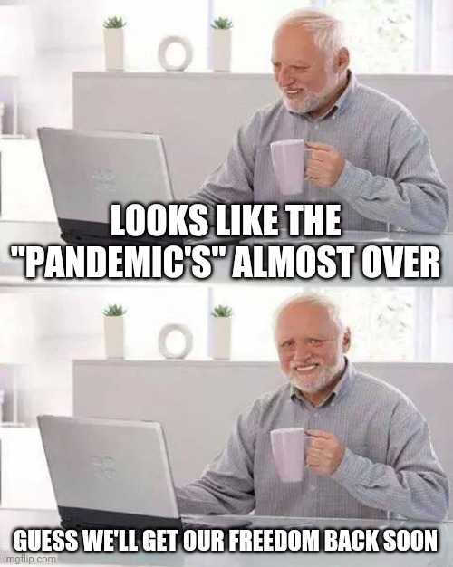 Harold | LOOKS LIKE THE "PANDEMIC'S" ALMOST OVER; GUESS WE'LL GET OUR FREEDOM BACK SOON | image tagged in memes,hide the pain harold | made w/ Imgflip meme maker