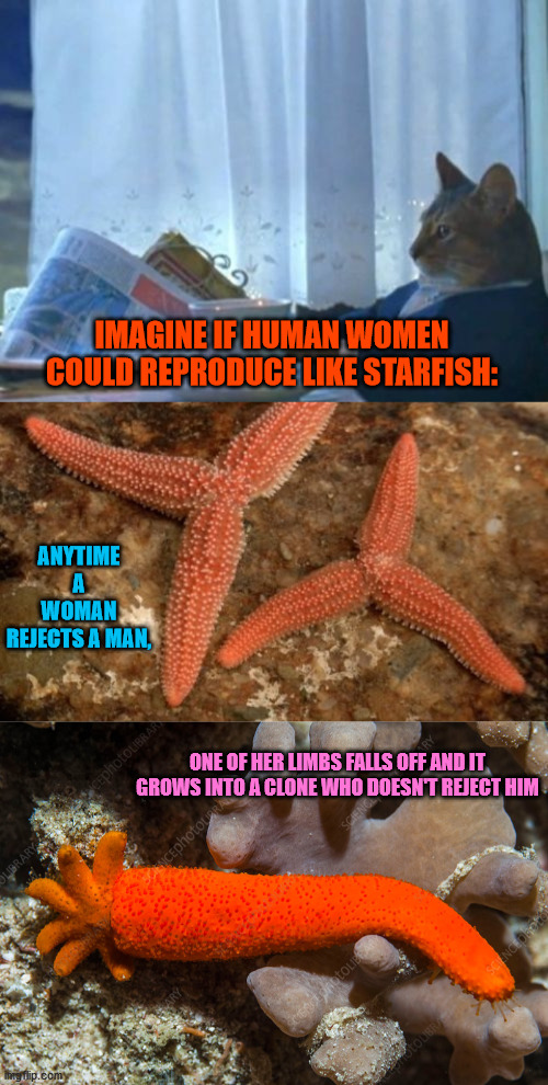 A weird solution to the incel problem??? | IMAGINE IF HUMAN WOMEN COULD REPRODUCE LIKE STARFISH:; ANYTIME A WOMAN REJECTS A MAN, ONE OF HER LIMBS FALLS OFF AND IT GROWS INTO A CLONE WHO DOESN'T REJECT HIM | image tagged in memes,i should buy a boat cat,starfish,clone,dating,rejection | made w/ Imgflip meme maker
