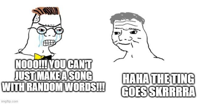 the ting goes skrrrra | NOOO!!! YOU CAN'T JUST MAKE A SONG WITH RANDOM WORDS!!! HAHA THE TING GOES SKRRRRA | image tagged in nooo haha go brrr | made w/ Imgflip meme maker