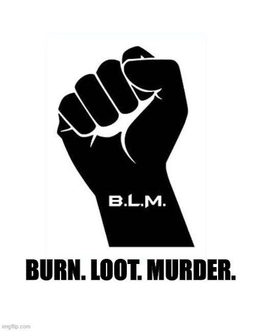 BLM fist | BURN. LOOT. MURDER. | image tagged in blm fist | made w/ Imgflip meme maker