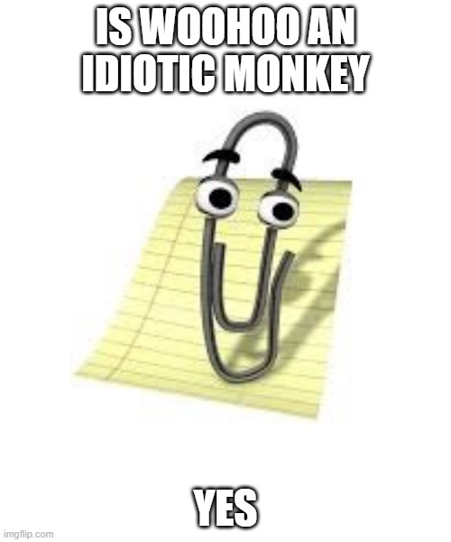 Clippy | IS WOOHOO AN IDIOTIC MONKEY; YES | image tagged in clippy | made w/ Imgflip meme maker