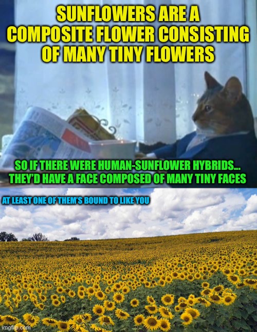 Another weird solution to the incel problem???? | SUNFLOWERS ARE A COMPOSITE FLOWER CONSISTING OF MANY TINY FLOWERS; SO IF THERE WERE HUMAN-SUNFLOWER HYBRIDS... THEY’D HAVE A FACE COMPOSED OF MANY TINY FACES; AT LEAST ONE OF THEM’S BOUND TO LIKE YOU | image tagged in memes,i should buy a boat cat,flower,flowers,human,hybrid | made w/ Imgflip meme maker