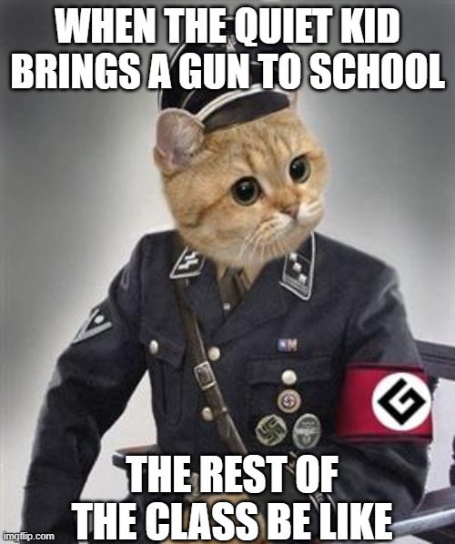 school shootings | WHEN THE QUIET KID BRINGS A GUN TO SCHOOL; THE REST OF THE CLASS BE LIKE | image tagged in grammar nazi cat | made w/ Imgflip meme maker