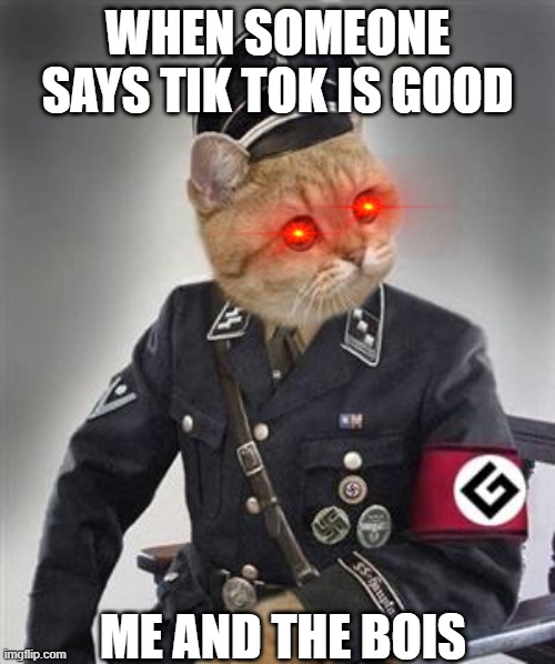 Grammar Nazi Cat | WHEN SOMEONE SAYS TIK TOK IS GOOD; ME AND THE BOIS | image tagged in grammar nazi cat | made w/ Imgflip meme maker