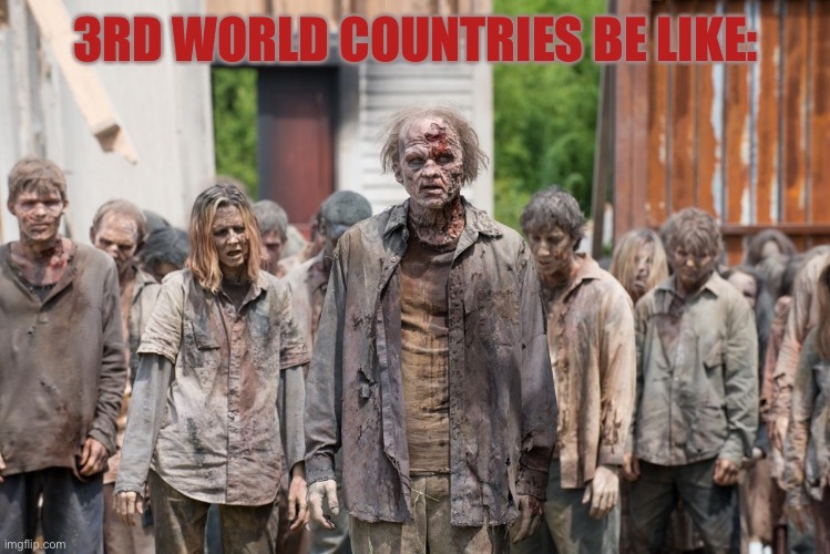 zombies | 3RD WORLD COUNTRIES BE LIKE: | image tagged in zombies | made w/ Imgflip meme maker