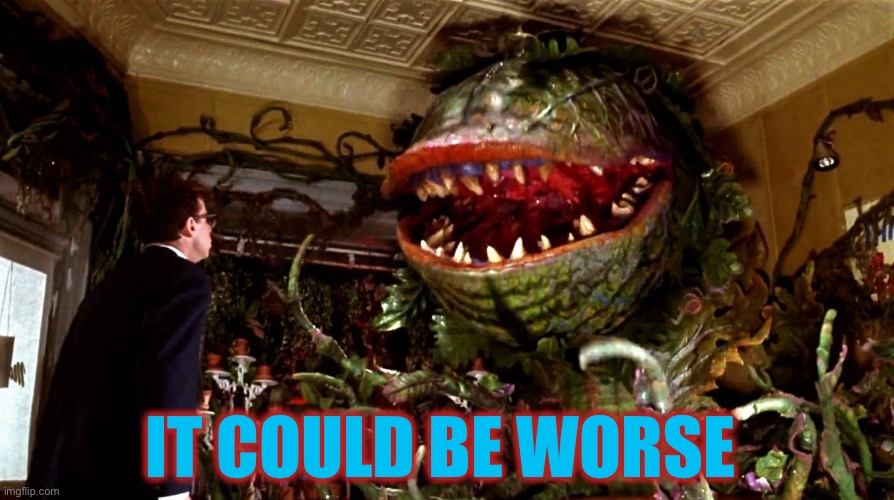 little shop of horrors | IT COULD BE WORSE | image tagged in little shop of horrors | made w/ Imgflip meme maker