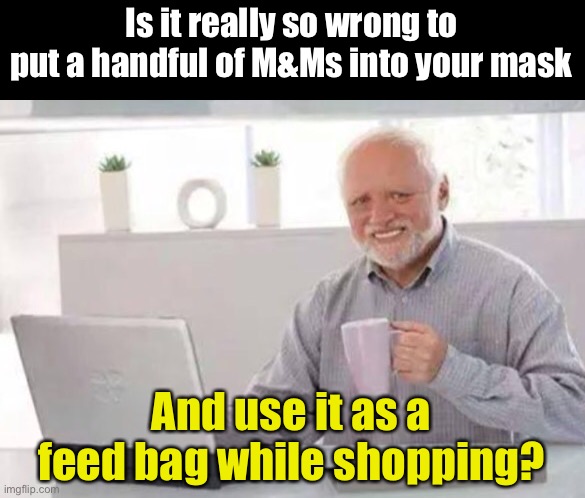 Harold | Is it really so wrong to put a handful of M&Ms into your mask; And use it as a feed bag while shopping? | image tagged in harold | made w/ Imgflip meme maker