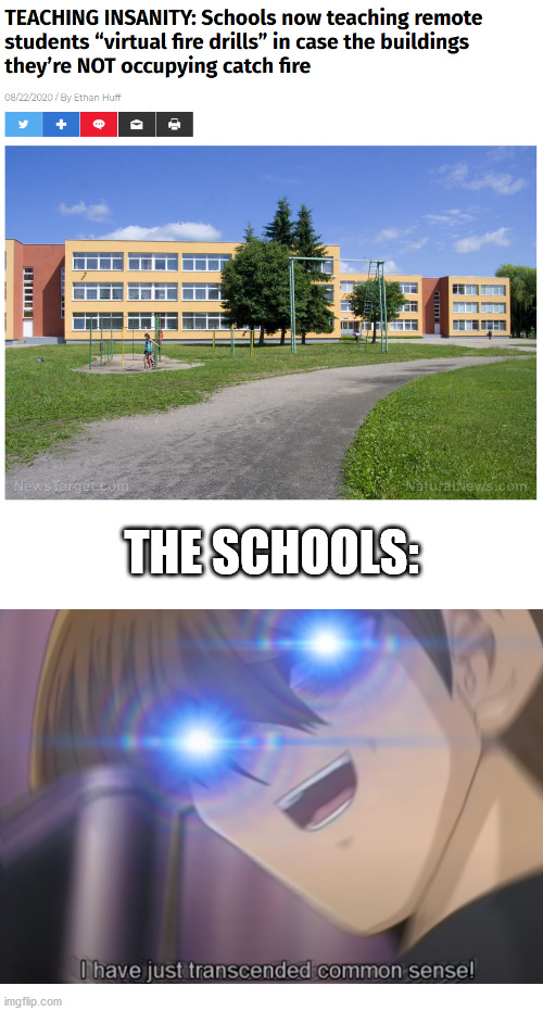 *facepalm intensifies* | THE SCHOOLS: | image tagged in schools,fire drill,stupidity,kaiba,common sense | made w/ Imgflip meme maker