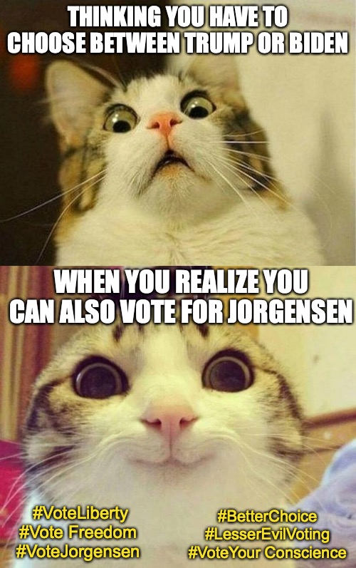 From Scared Cat to Happy Cat | THINKING YOU HAVE TO CHOOSE BETWEEN TRUMP OR BIDEN; WHEN YOU REALIZE YOU CAN ALSO VOTE FOR JORGENSEN; #VoteLiberty #Vote Freedom #VoteJorgensen; #BetterChoice #LesserEvilVoting #VoteYour Conscience | image tagged in scared cat,smiling cat,bad choices,third option,election 2020,jorgensen | made w/ Imgflip meme maker