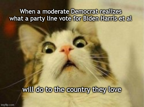 wake up for democrats | When a moderate Democrat realizes 
what a party line vote for Biden Harris et al; will do to the country they love | image tagged in dem voters coming to a reckoning | made w/ Imgflip meme maker