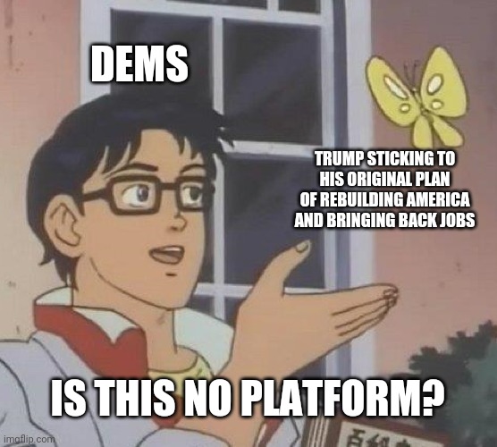 Politics and stuff | DEMS; TRUMP STICKING TO HIS ORIGINAL PLAN OF REBUILDING AMERICA AND BRINGING BACK JOBS; IS THIS NO PLATFORM? | image tagged in memes,is this a pigeon | made w/ Imgflip meme maker