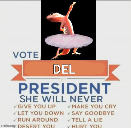 DEL for PRESIDENT | image tagged in del for president | made w/ Imgflip meme maker