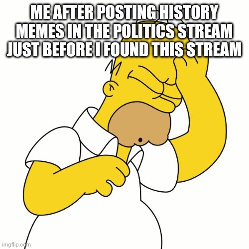 Doh | ME AFTER POSTING HISTORY MEMES IN THE POLITICS STREAM JUST BEFORE I FOUND THIS STREAM | image tagged in doh | made w/ Imgflip meme maker