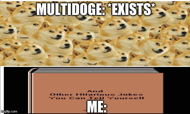 MULTIDOGE: *EXISTS*; ME: | image tagged in um so ok | made w/ Imgflip meme maker