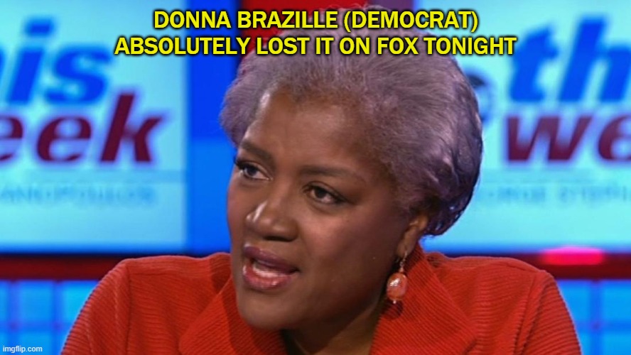 Brazille | DONNA BRAZILLE (DEMOCRAT)
ABSOLUTELY LOST IT ON FOX TONIGHT | image tagged in democrats | made w/ Imgflip meme maker