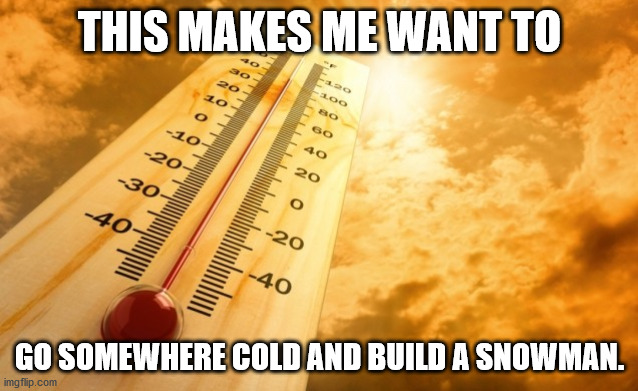 Heat | THIS MAKES ME WANT TO; GO SOMEWHERE COLD AND BUILD A SNOWMAN. | image tagged in summer heat | made w/ Imgflip meme maker