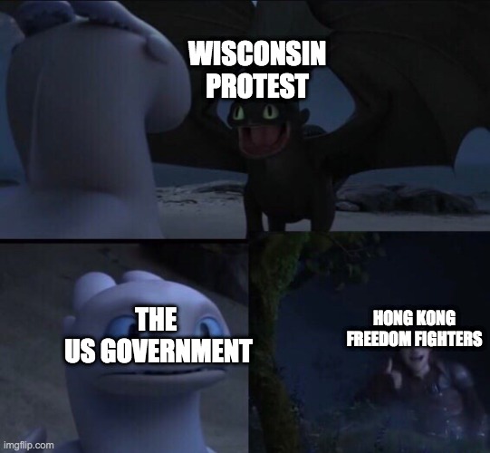 How to train your dragon 3 | WISCONSIN PROTEST; THE 
US GOVERNMENT; HONG KONG FREEDOM FIGHTERS | image tagged in how to train your dragon 3,wisconsin | made w/ Imgflip meme maker