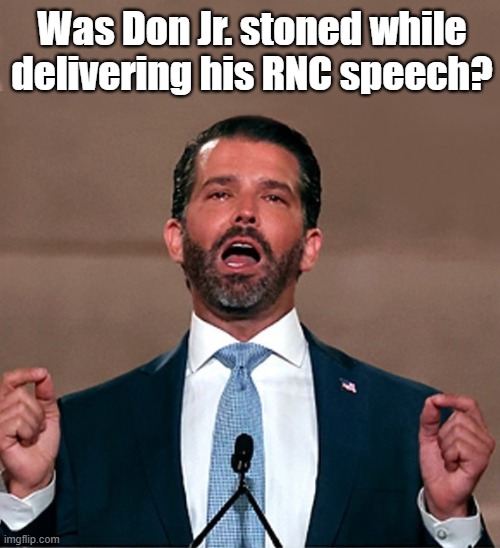 Donald Trump Jr’s RNC Speech Had People Wondering What The Hell Was Going On With His Red, Watery Eyes | Was Don Jr. stoned while
delivering his RNC speech? | image tagged in donald trump jr,rnc,speech,stoned,drugs,election 2020 | made w/ Imgflip meme maker
