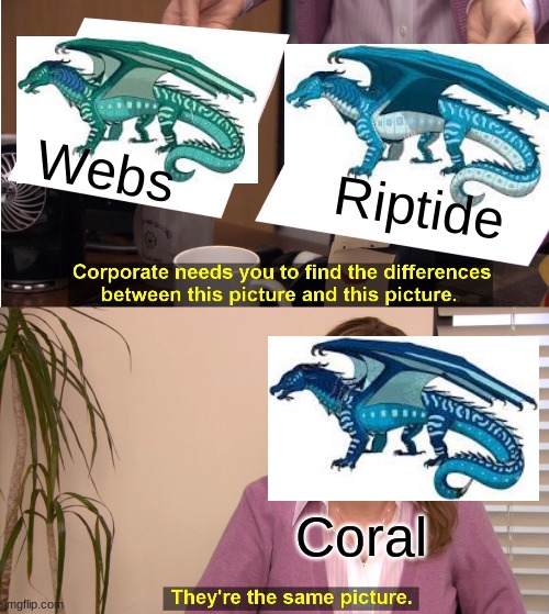 What coral thinks of Webs and Riptide | Webs; Riptide; Coral | image tagged in memes,wings of fire | made w/ Imgflip meme maker