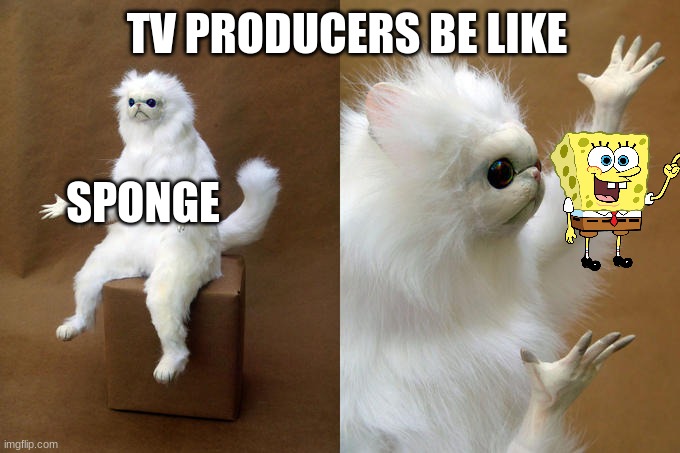 Persian Cat Room Guardian | TV PRODUCERS BE LIKE; SPONGE | image tagged in memes,persian cat room guardian | made w/ Imgflip meme maker