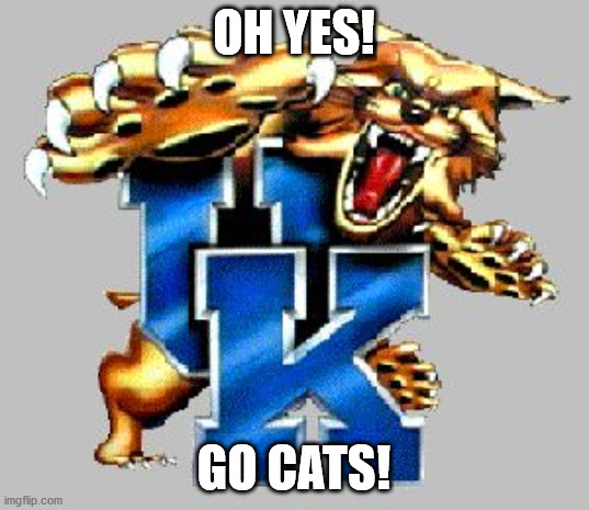 Kentucky Wildcats | OH YES! GO CATS! | image tagged in kentucky wildcat family | made w/ Imgflip meme maker