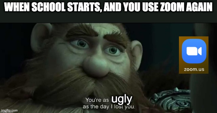 You are as beautiful as the day I lose you | WHEN SCHOOL STARTS, AND YOU USE ZOOM AGAIN | image tagged in you are as beautiful as the day i lose you,school,zoom | made w/ Imgflip meme maker