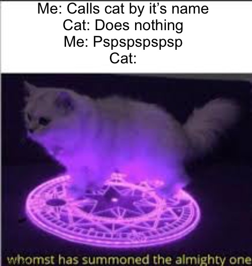 Cat | Me: Calls cat by it’s name
Cat: Does nothing
Me: Pspspspspsp
Cat: | image tagged in whomst has summoned the almighty one | made w/ Imgflip meme maker