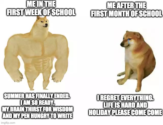 Buff Doge vs. Cheems | ME IN THE FIRST WEEK OF SCHOOL; ME AFTER THE FIRST MONTH OF SCHOOL; I REGRET EVERYTHING. LIFE IS HARD AND HOLIDAY PLEASE COME COME; SUMMER HAS FINALLY ENDED. 
I AM SO READY, MY BRAIN THIRST FOR WISDOM AND MY PEN HUNGRY TO WRITE | image tagged in buff doge vs cheems,school,back to school | made w/ Imgflip meme maker