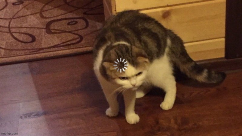 Buffering cat | image tagged in buffering cat | made w/ Imgflip meme maker