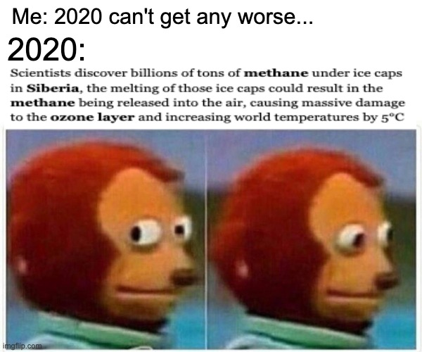 We're all gonna die... | Me: 2020 can't get any worse... 2020: | image tagged in memes,monkey puppet,2020,funny,2020 sucks | made w/ Imgflip meme maker