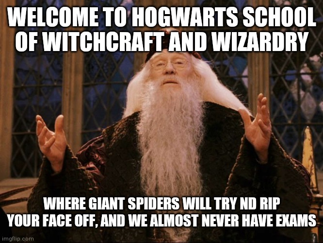 Dumbledore | WELCOME TO HOGWARTS SCHOOL OF WITCHCRAFT AND WIZARDRY; WHERE GIANT SPIDERS WILL TRY ND RIP YOUR FACE OFF, AND WE ALMOST NEVER HAVE EXAMS | image tagged in dumbledore | made w/ Imgflip meme maker