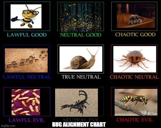 Alignment Chart | BUG ALIGNMENT CHART | image tagged in alignment chart,AlignmentCharts | made w/ Imgflip meme maker