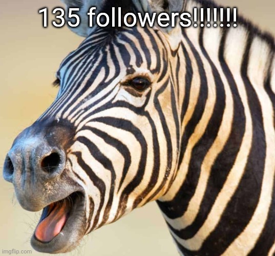 Happy Zebra | 135 followers!!!!!!! | image tagged in happy zebra | made w/ Imgflip meme maker