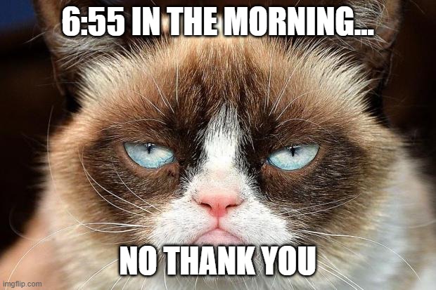 Grumpy Cat Not Amused | 6:55 IN THE MORNING... NO THANK YOU | image tagged in memes,grumpy cat not amused,grumpy cat | made w/ Imgflip meme maker
