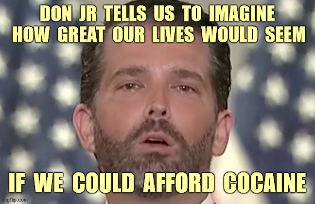 We're Keeping America Great, but we have to imagine it for ourselves? | DON  JR  TELLS  US  TO  IMAGINE  HOW  GREAT  OUR  LIVES  WOULD  SEEM; IF  WE  COULD  AFFORD  COCAINE | image tagged in republican convention,2020,donald trump jr,sweaty,funny,memes | made w/ Imgflip meme maker