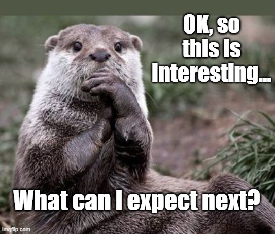 Questioning Otter | OK, so this is interesting... What can I expect next? | image tagged in questioning otter | made w/ Imgflip meme maker