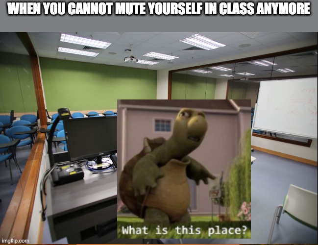 WHEN YOU CANNOT MUTE YOURSELF IN CLASS ANYMORE | image tagged in what is this place,school,online school | made w/ Imgflip meme maker