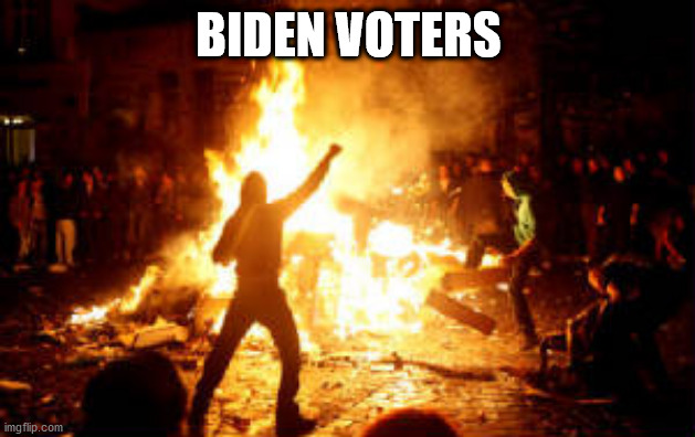 Anarchy Riot | BIDEN VOTERS | image tagged in anarchy riot | made w/ Imgflip meme maker