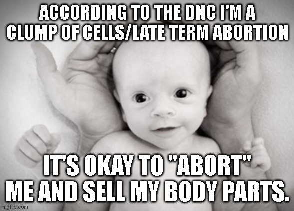 ACCORDING TO THE DNC I'M A CLUMP OF CELLS/LATE TERM ABORTION; IT'S OKAY TO "ABORT" ME AND SELL MY BODY PARTS. | made w/ Imgflip meme maker