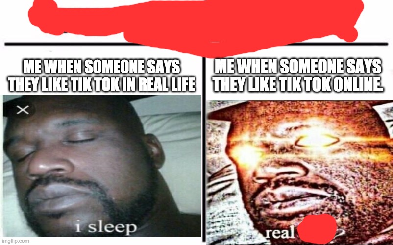 I respect opinons in person but what I really want to do with them well it'll be ugly | ME WHEN SOMEONE SAYS THEY LIKE TIK TOK IN REAL LIFE; ME WHEN SOMEONE SAYS THEY LIKE TIK TOK ONLINE. | image tagged in memes,sleeping shaq,who would win | made w/ Imgflip meme maker