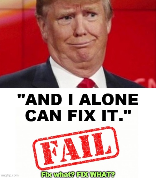 No, everything's worse. | "AND I ALONE CAN FIX IT."; Fix what? FIX WHAT? | image tagged in trump,fail,failure,fix,nothing | made w/ Imgflip meme maker
