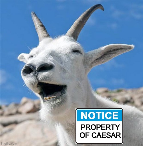 Laughing Goat Meme | PROPERTY OF CAESAR | image tagged in memes,laughing goat | made w/ Imgflip meme maker