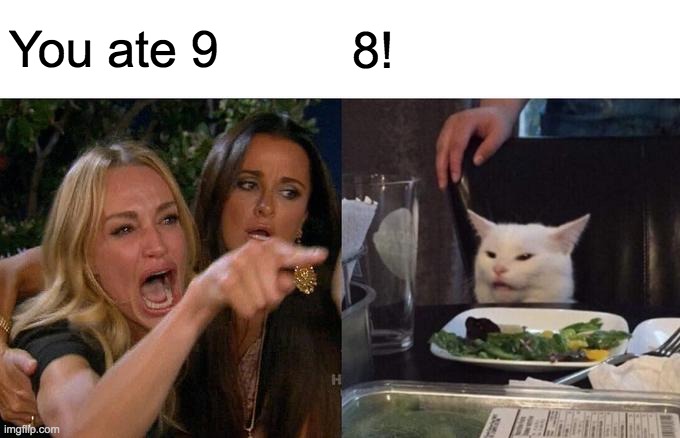 Woman Yelling At Cat Meme | You ate 9 8! | image tagged in memes,woman yelling at cat | made w/ Imgflip meme maker