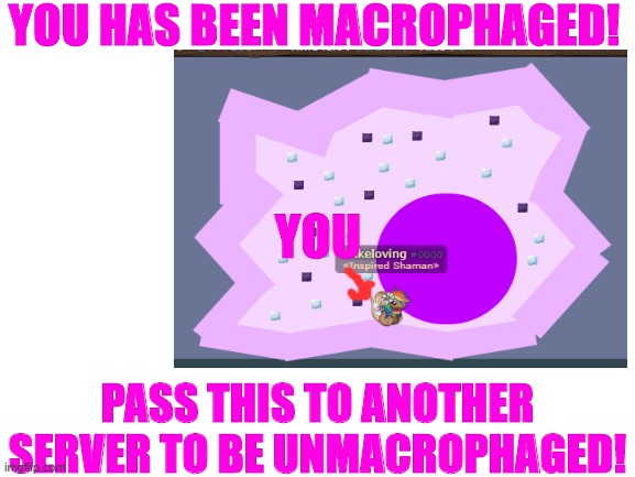 you has been macrophaged! | YOU HAS BEEN MACROPHAGED! YOU; PASS THIS TO ANOTHER SERVER TO BE UNMACROPHAGED! | image tagged in macrophage | made w/ Imgflip meme maker