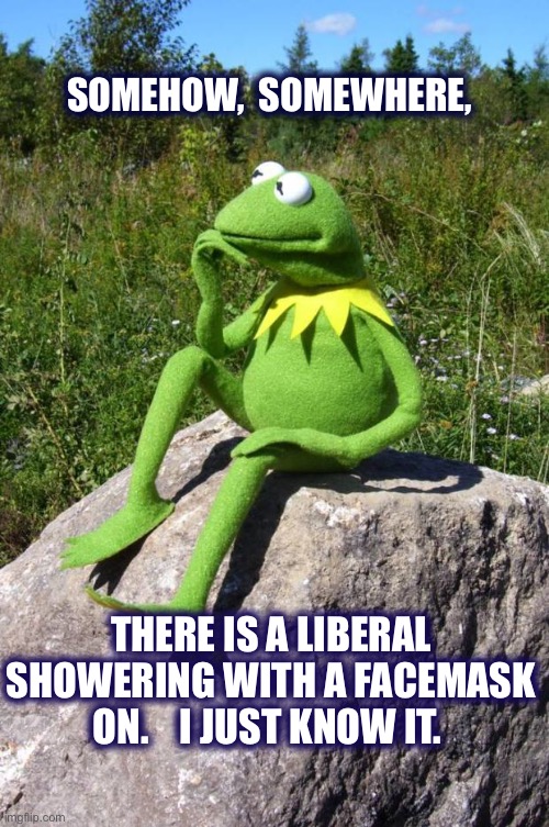 I just know it. | SOMEHOW,  SOMEWHERE, THERE IS A LIBERAL SHOWERING WITH A FACEMASK ON.    I JUST KNOW IT. | image tagged in kermit-thinking,liberals,shower,facemask,mask,memes | made w/ Imgflip meme maker