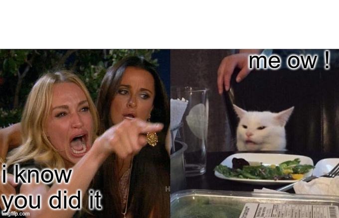Woman Yelling At Cat Meme | me ow ! i know you did it | image tagged in memes,woman yelling at cat | made w/ Imgflip meme maker
