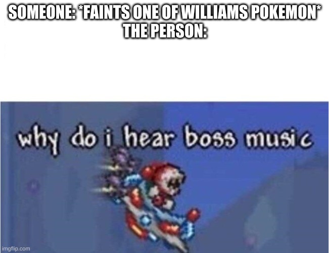 William: You just messed up | SOMEONE: *FAINTS ONE OF WILLIAMS POKEMON*
THE PERSON: | image tagged in why do i hear boss music | made w/ Imgflip meme maker