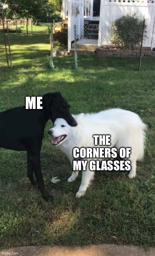 Don’t denie it u do to | ME; THE CORNERS OF MY GLASSES | image tagged in dog bite | made w/ Imgflip meme maker